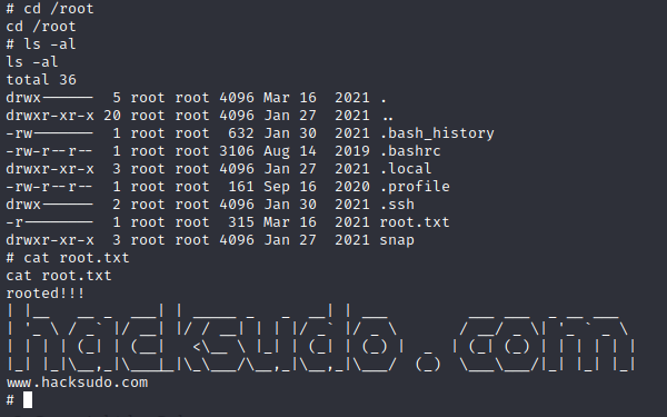 root.txt flag