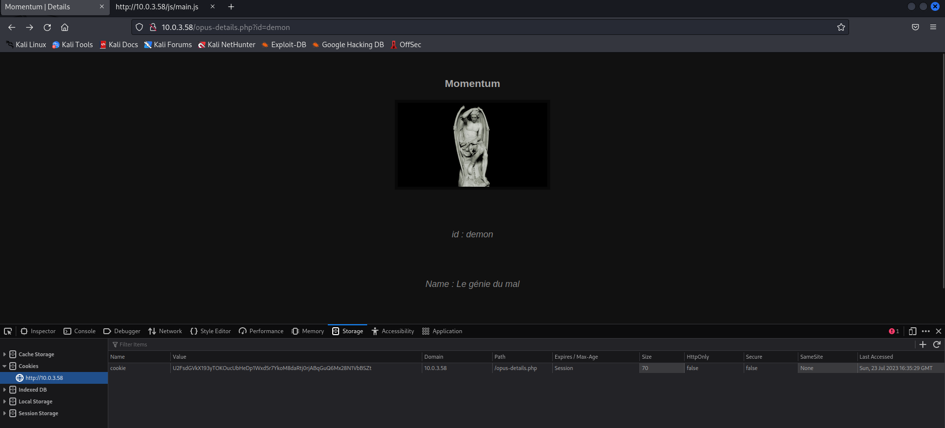 Momentum website cookie