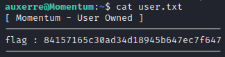 Momentum user flag
