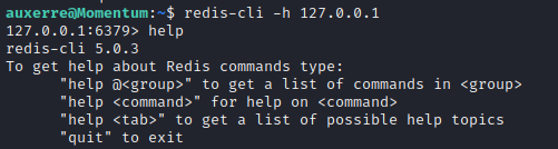 Momentum redis-cli connection